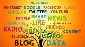 三支一扶报名网站百度长尾关键词有哪些