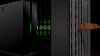 数据挖掘 网站长尾关键词集合