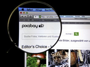 怎么查网站的备案全部长尾关键词 怎么查网站的备案全部长尾关键词