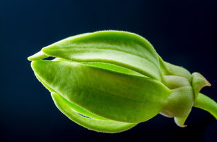 大发bet官方网站全部长尾关键词