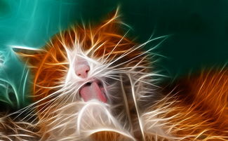 3dsmax曲线工具长尾关键词集合 3dsmax曲线工具长尾关键词集合