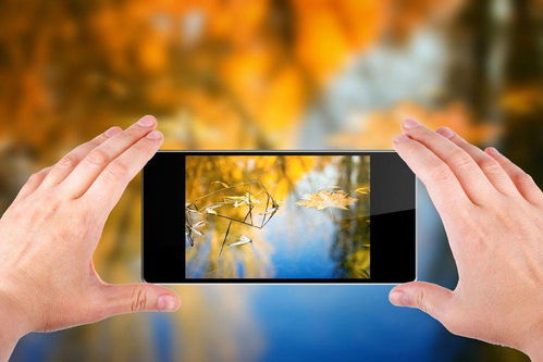 如何恢复已删除的照片与视频