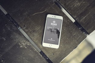 如何恢复回收站删除的照片手机软件视频