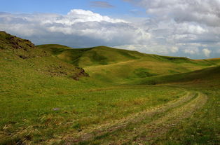绿山川官方网站相关长尾关键词有哪些