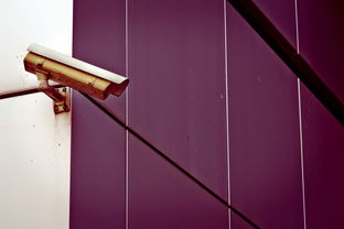 没有工具怎么修理鼻毛视频全部长尾关键词 没有工具怎么修理鼻毛视频全部长尾关键词