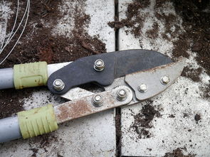 焊点用什么工具切割长尾关键词集合