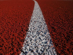 红米3 官方网站长尾关键词集合