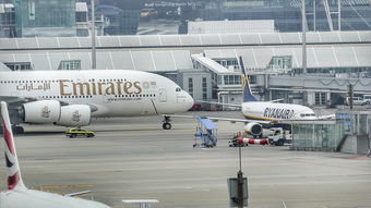 大兴机场的官方网站长尾关键词集合 大兴机场的官方网站长尾关键词集合