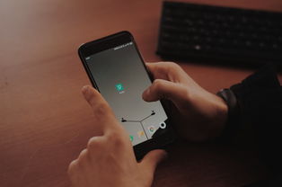 国土局局网站相关长尾关键词有哪些