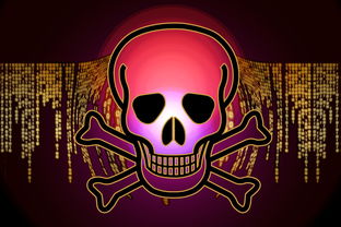 电脑病毒查杀工具相关长尾关键词有哪些