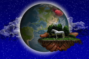 点盾云解密工具全部长尾关键词