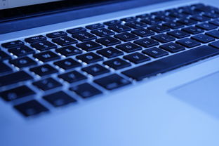 mac中wps开发工具百度长尾关键词有哪些