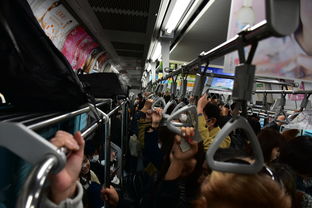 新冠病毒疫情数据网站长尾关键词集合