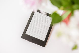 如何成为成功的创业者论文题目大全