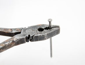 什么工具可以剪短钉子百度长尾关键词有哪些