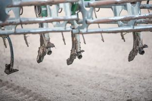 压马路机图片工具百度长尾关键词有哪些