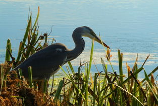 乌蝇水官方网站全部长尾关键词 乌蝇水官方网站全部长尾关键词