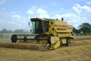 纽荷兰耕作的工具长尾关键词集合