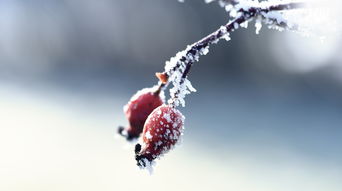 asp动态网站相关长尾关键词有哪些