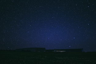 avi的网站全部长尾关键词