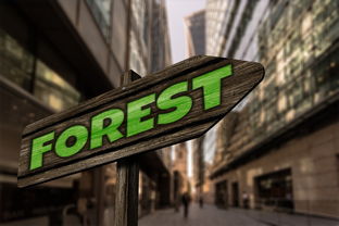 博马彩票官方网站百度长尾关键词有哪些 博马彩票官方网站百度长尾关键词有哪些