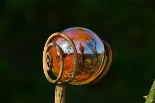 古代玻璃加工首饰的工具相关长尾关键词有哪些 古代玻璃加工首饰的工具相关长尾关键词有哪些