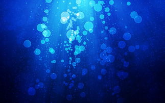 藏宝图网站相关长尾关键词有哪些 藏宝图网站相关长尾关键词有哪些