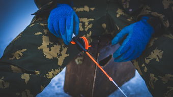 捕鱼大咖工具下载全部长尾关键词 捕鱼大咖工具下载全部长尾关键词