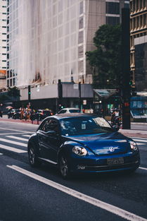 甲壳虫系统工具.apk长尾关键词集合