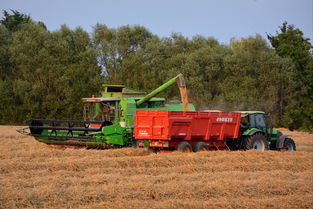 江干区保洁的工具在哪里长尾关键词集合 江干区保洁的工具在哪里长尾关键词集合