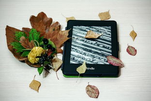 电子书下载 网站长尾关键词集合