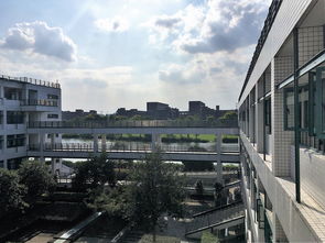 邢台五中网站全部长尾关键词