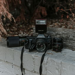 养蜂工具蜂箱连接带全部长尾关键词