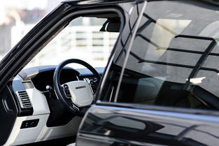 汽车行业vector工具全部长尾关键词