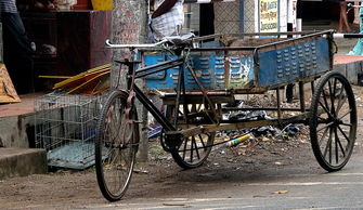 路桥植物养护工具现货销售全部长尾关键词