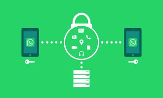 ViVO手机微信分身不小心删除了，怎么恢复啊