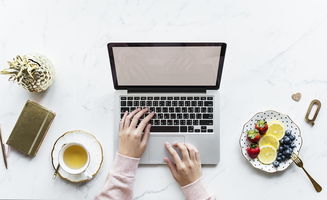 巨鹿哪有出租装修工具的相关长尾关键词有哪些