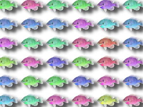 乐迪恐龙工具箱全部长尾关键词