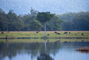 无锡卧室墙面涂鸦工具长尾关键词集合