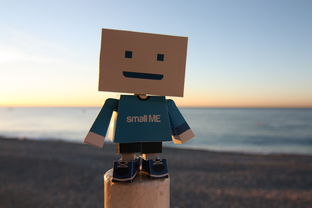 梦见自己把工具拿错了相关长尾关键词有哪些