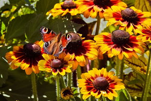 园林色彩表达工具有什么全部长尾关键词