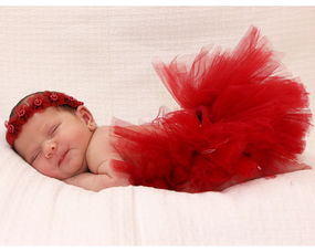 事理图谱构建工具百度长尾关键词有哪些 事理图谱构建工具百度长尾关键词有哪些