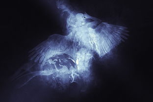 天使网站 下载相关长尾关键词有哪些