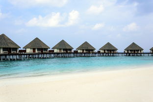 中山网站建设美丽相关长尾关键词有哪些