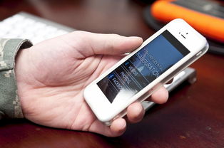 移动app网站长尾关键词集合 移动app网站长尾关键词集合