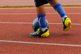 体育属于政治的工具嘛全部长尾关键词