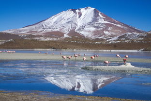 养马岛的网站长尾关键词集合