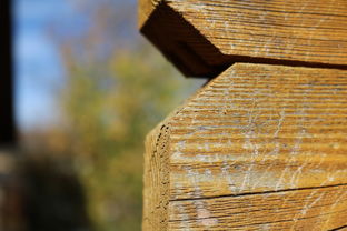 cab显示工具栏百度长尾关键词有哪些