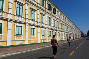 镇隆政府网站相关长尾关键词有哪些