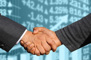 如何取得创业成功写一份报告书范文